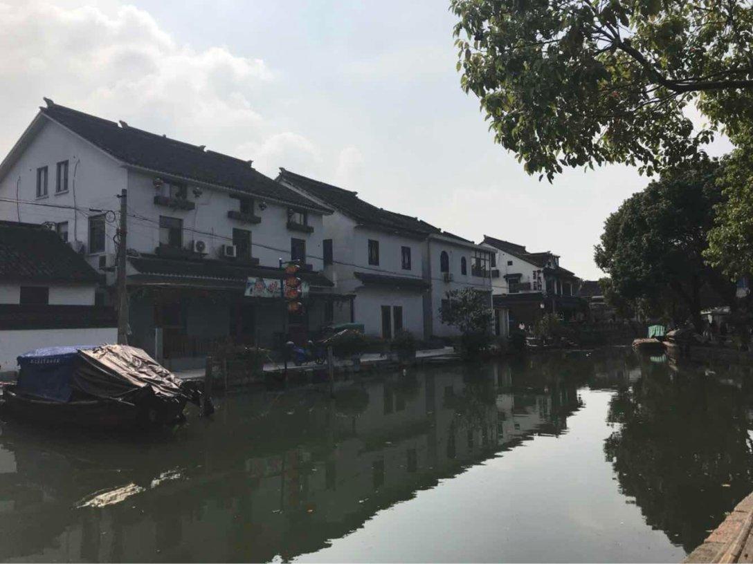 在中国您的老师爆出过什么金句?